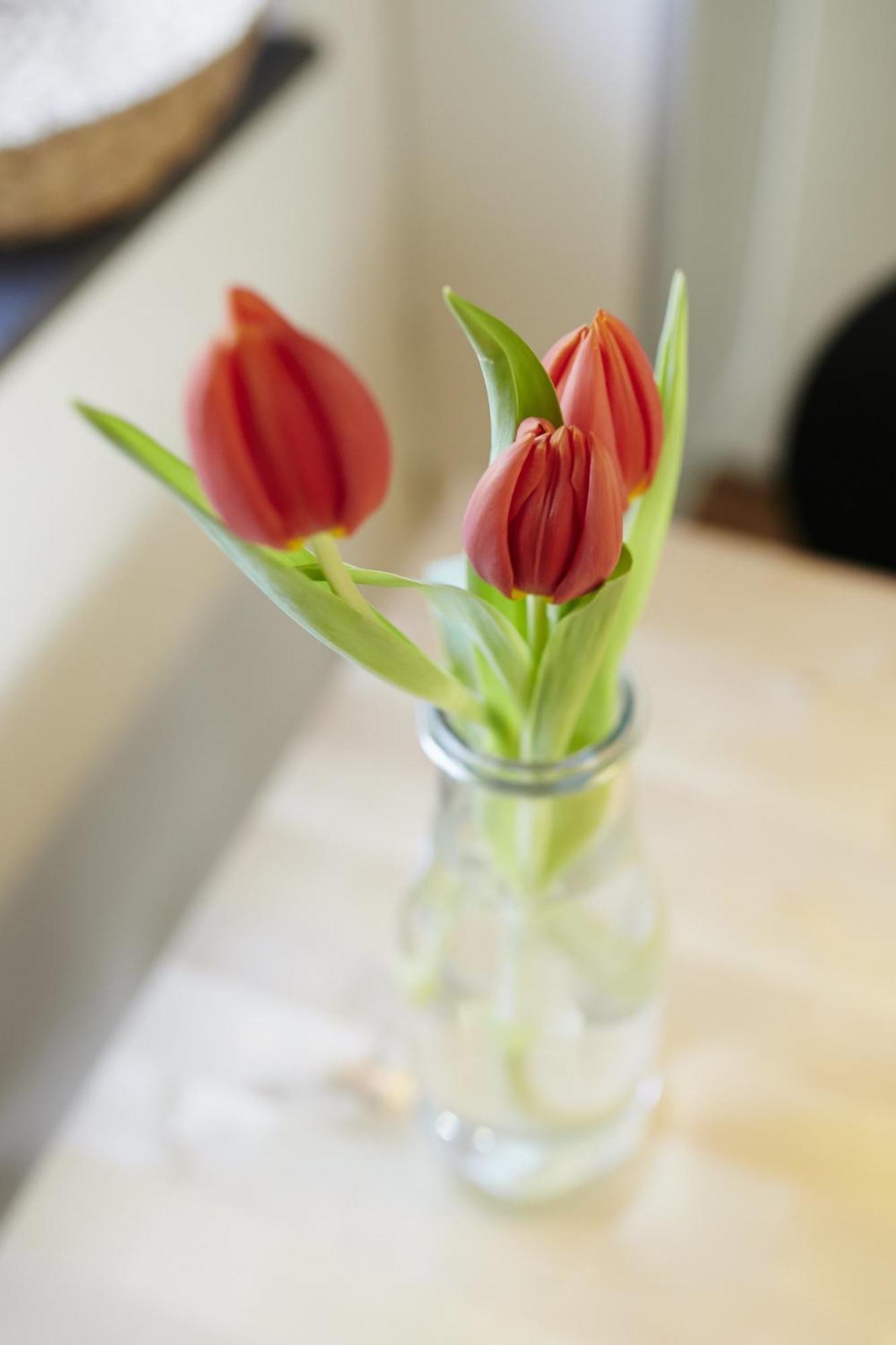 Rotes Bienenhaus Villa Kottenheim ภายนอก รูปภาพ